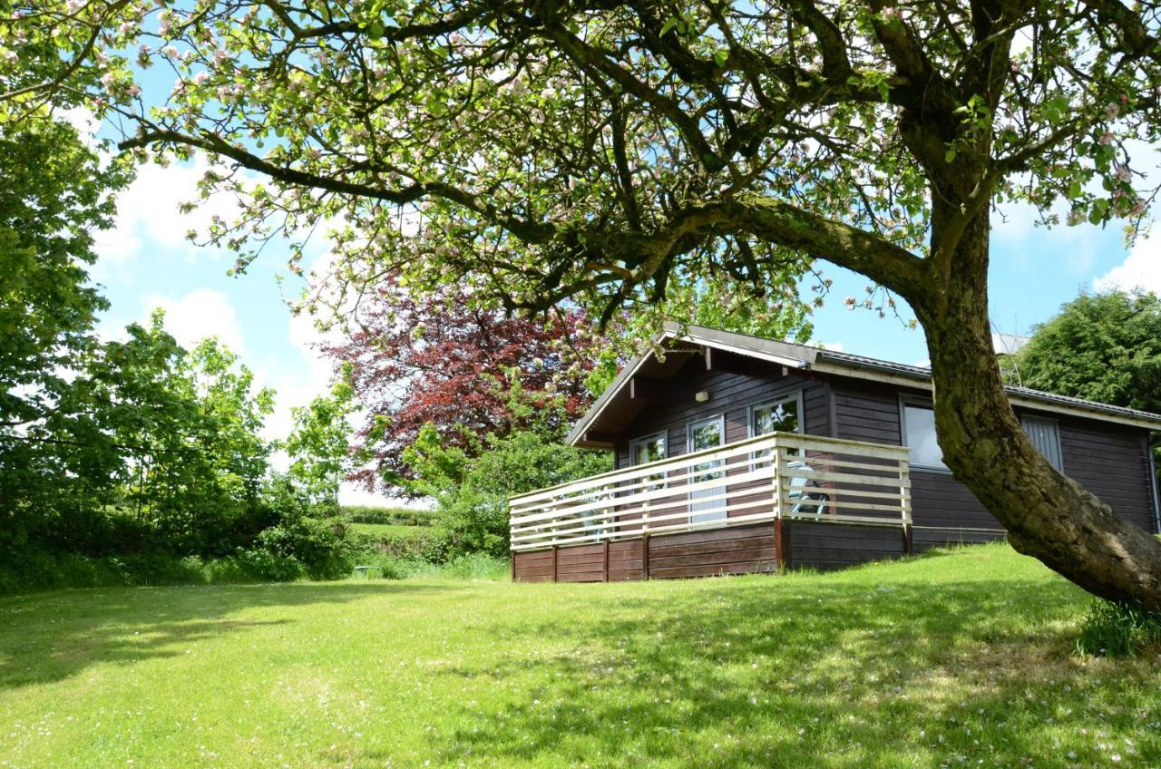 Avallon Lodges Launceston Eksteriør bilde