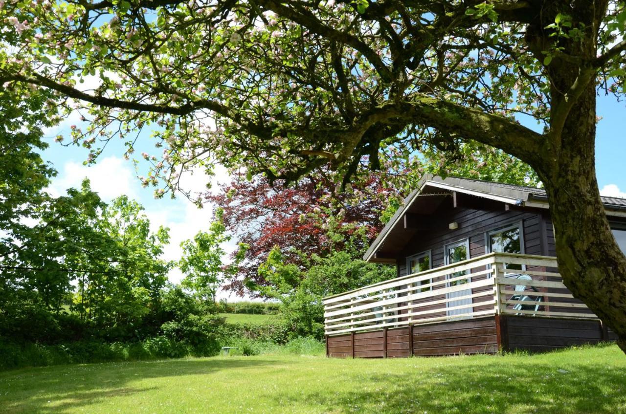 Avallon Lodges Launceston Eksteriør bilde