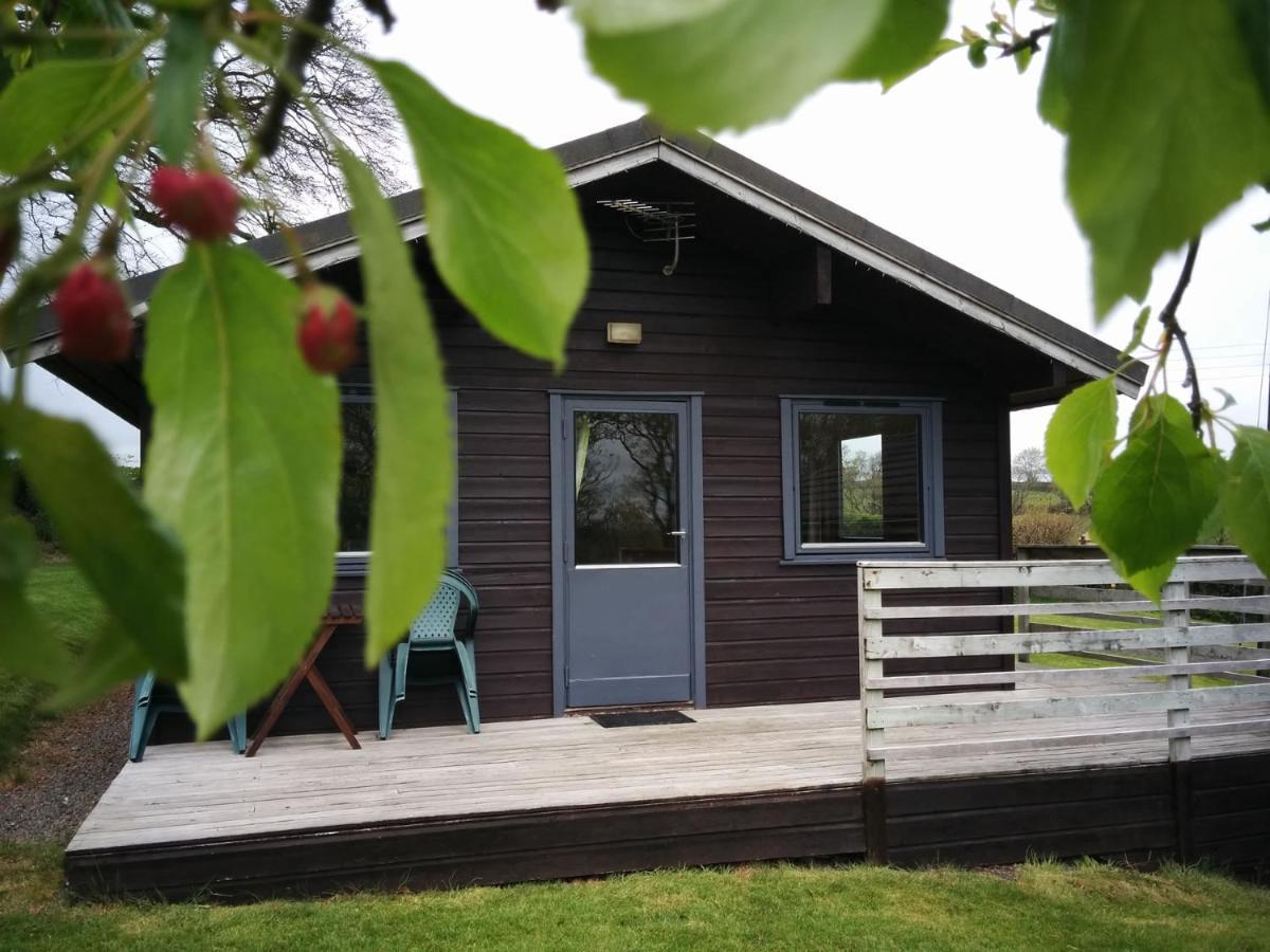 Avallon Lodges Launceston Eksteriør bilde