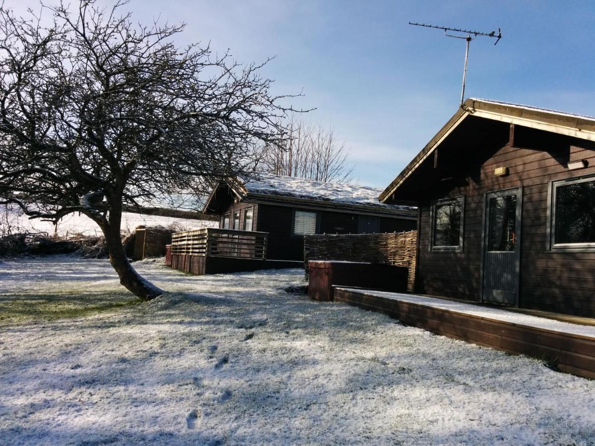 Avallon Lodges Launceston Eksteriør bilde