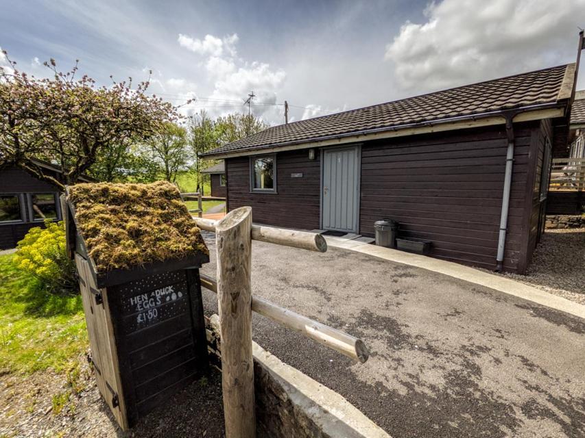 Avallon Lodges Launceston Eksteriør bilde