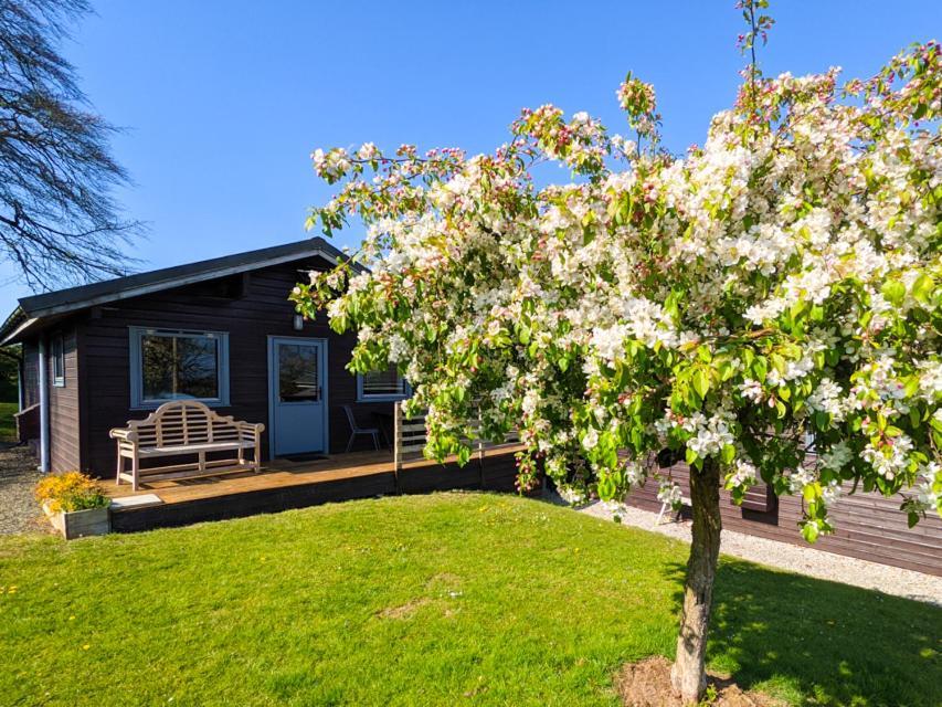 Avallon Lodges Launceston Eksteriør bilde